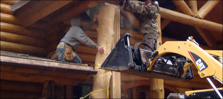 Log Home Log Replacement  Surry County, Virginia